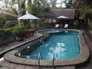 Taman Sakti Resort Ubud Buitenkant foto